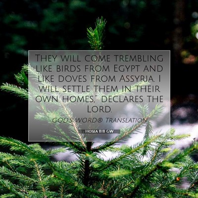 Picture 07 - Hosea 11:11 GW - They will come trembling like birds from Egypt - Bible Verse Picture