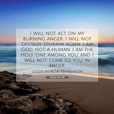 Picture 07 - Hosea 11:9 GW - I will not act on my burning anger. I will not - Bible Verse Picture