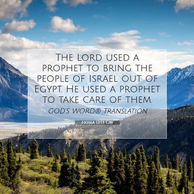 Picture 07 - Hosea 12:13 GW - The Lord used a prophet to bring the people of - Bible Verse Picture