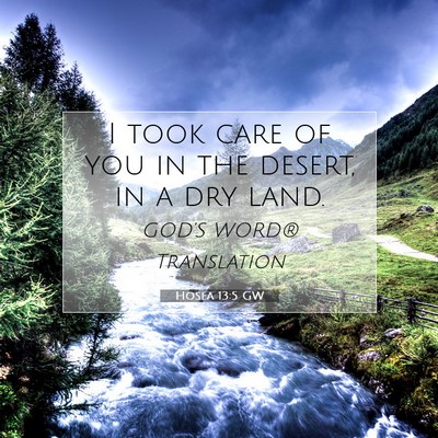 Picture 07 - Hosea 13:5 GW - I took care of you in the desert, in a dry - Bible Verse Picture