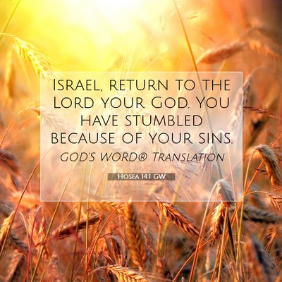 Picture 07 - Hosea 14:1 GW - Israel, return to the Lord your God. You have - Bible Verse Picture