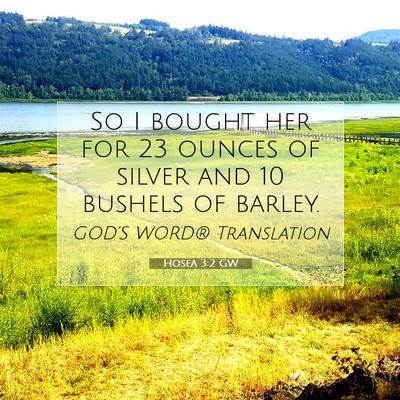 Picture 07 - Hosea 3:2 GW - So I bought her for 23 ounces of silver and 10 - Bible Verse Picture
