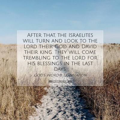 Picture 07 - Hosea 3:5 GW - After that, the Israelites will turn and look to - Bible Verse Picture