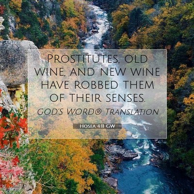 Picture 07 - Hosea 4:11 GW - Prostitutes, old wine, and new wine have robbed - Bible Verse Picture