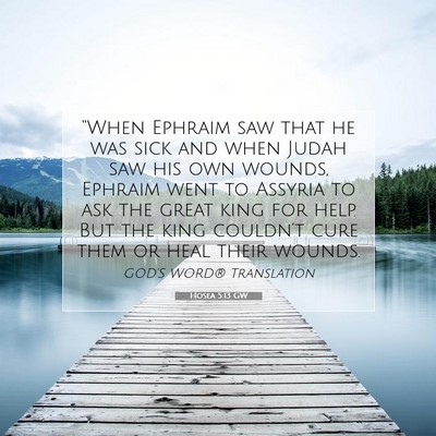 Picture 07 - Hosea 5:13 GW - “When Ephraim saw that he was sick and when - Bible Verse Picture