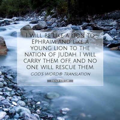 Picture 07 - Hosea 5:14 GW - I will be like a lion to Ephraim and like a young - Bible Verse Picture