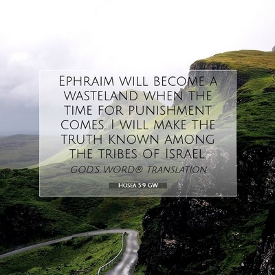 Picture 07 - Hosea 5:9 GW - Ephraim will become a wasteland when the time for - Bible Verse Picture