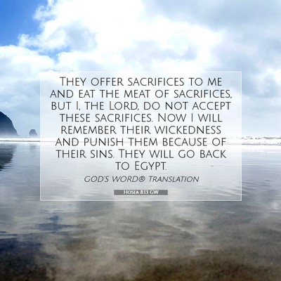 Picture 07 - Hosea 8:13 GW - They offer sacrifices to me and eat the meat of - Bible Verse Picture