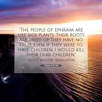 Picture 07 - Hosea 9:16 GW - “The people of Ephraim are like sick plants. - Bible Verse Picture