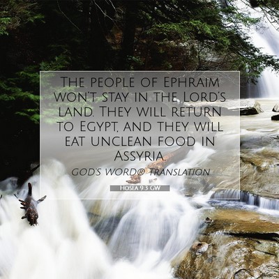 Picture 07 - Hosea 9:3 GW - The people of Ephraim won’t stay in the - Bible Verse Picture