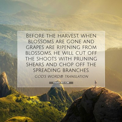Picture 07 - Isaiah 18:5 GW - Before the harvest, when blossoms are gone and - Bible Verse Picture
