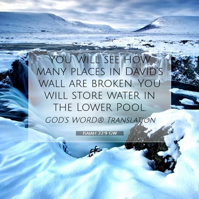 Picture 07 - Isaiah 22:9 GW - You will see how many places in David’s wall - Bible Verse Picture