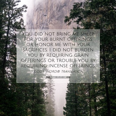Picture 07 - Isaiah 43:23 GW - You did not bring me sheep for your burnt - Bible Verse Picture