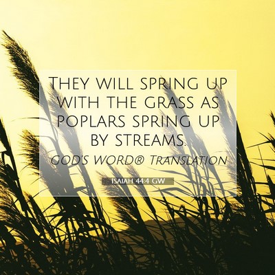 Picture 07 - Isaiah 44:4 GW - They will spring up with the grass as poplars - Bible Verse Picture