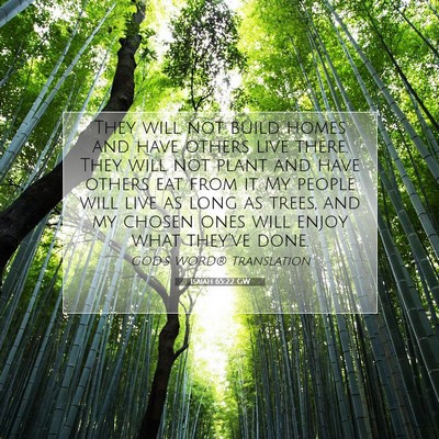 Picture 07 - Isaiah 65:22 GW - They will not build homes and have others live - Bible Verse Picture