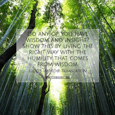 Picture 07 - James 3:13 GW - Do any of you have wisdom and insight? Show this - Bible Verse Picture