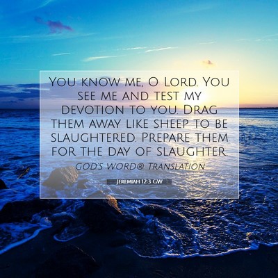 Picture 07 - Jeremiah 12:3 GW - You know me, O Lord. You see me and test my - Bible Verse Picture
