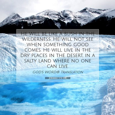 Picture 07 - Jeremiah 17:6 GW - He will be like a bush in the wilderness. He will - Bible Verse Picture