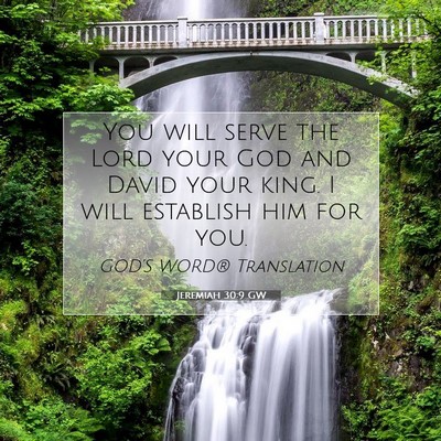 Picture 07 - Jeremiah 30:9 GW - You will serve the Lord your God and David your - Bible Verse Picture
