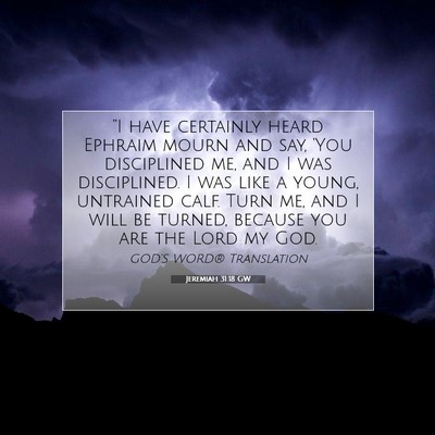 Picture 07 - Jeremiah 31:18 GW - “I have certainly heard Ephraim mourn and say, - Bible Verse Picture