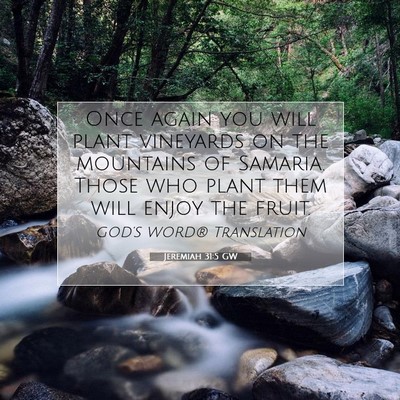 Picture 07 - Jeremiah 31:5 GW - Once again you will plant vineyards on the - Bible Verse Picture