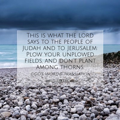 Picture 07 - Jeremiah 4:3 GW - This is what the Lord says to the people of Judah - Bible Verse Picture