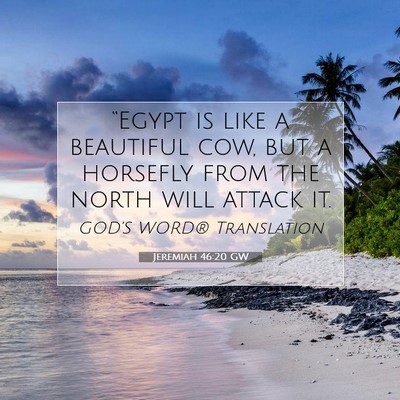 Picture 07 - Jeremiah 46:20 GW - “Egypt is like a beautiful cow, but a horsefly - Bible Verse Picture