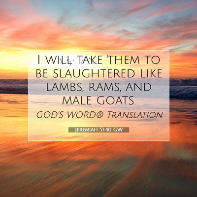 Picture 07 - Jeremiah 51:40 GW - I will take them to be slaughtered like lambs, - Bible Verse Picture