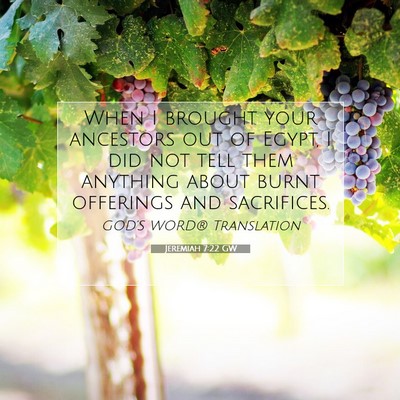 Picture 07 - Jeremiah 7:22 GW - When I brought your ancestors out of Egypt, I did - Bible Verse Picture