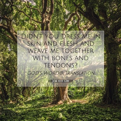 Picture 07 - Job 10:11 GW - Didn’t you dress me in skin and flesh and weave - Bible Verse Picture