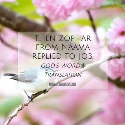 Picture 07 - Job 11:1 GW - Then Zophar from Naama replied to - Bible Verse Picture