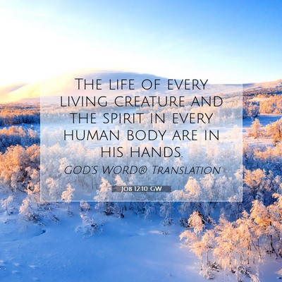 Picture 07 - Job 12:10 GW - The life of every living creature and the spirit - Bible Verse Picture