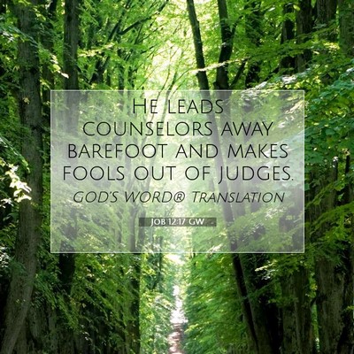 Picture 07 - Job 12:17 GW - He leads counselors away barefoot and makes fools - Bible Verse Picture
