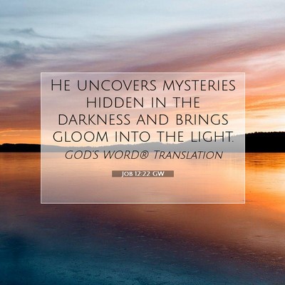 Picture 07 - Job 12:22 GW - He uncovers mysteries hidden in the darkness and - Bible Verse Picture