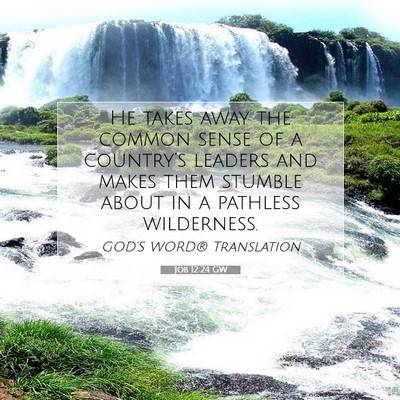Picture 07 - Job 12:24 GW - He takes away the common sense of a country’s - Bible Verse Picture