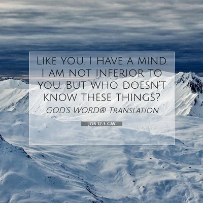 Picture 07 - Job 12:3 GW - Like you, I have a mind. I am not inferior to - Bible Verse Picture