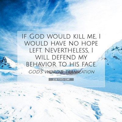 Picture 07 - Job 13:15 GW - If God would kill me, I would have no hope left. - Bible Verse Picture