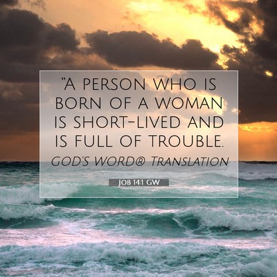 Picture 07 - Job 14:1 GW - “A person who is born of a woman is short-lived - Bible Verse Picture
