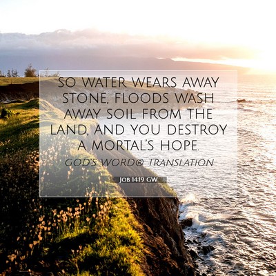 Picture 07 - Job 14:19 GW - so water wears away stone, floods wash away soil - Bible Verse Picture