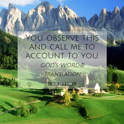 Picture 07 - Job 14:3 GW - You observe this and call me to account to - Bible Verse Picture