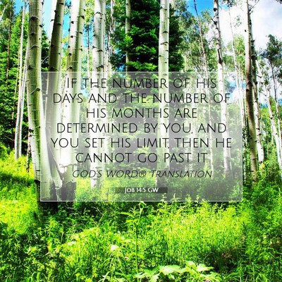 Picture 07 - Job 14:5 GW - If the number of his days and the number of his - Bible Verse Picture