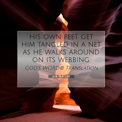 Picture 07 - Job 18:8 GW - His own feet get him tangled in a net as he walks - Bible Verse Picture