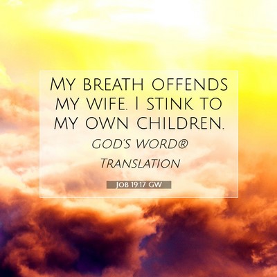Picture 07 - Job 19:17 GW - My breath offends my wife. I stink to my own - Bible Verse Picture