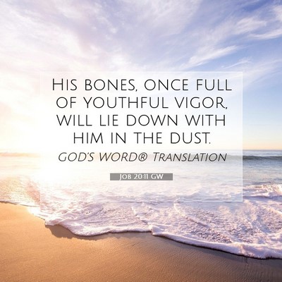 Picture 07 - Job 20:11 GW - His bones, once full of youthful vigor, will lie - Bible Verse Picture