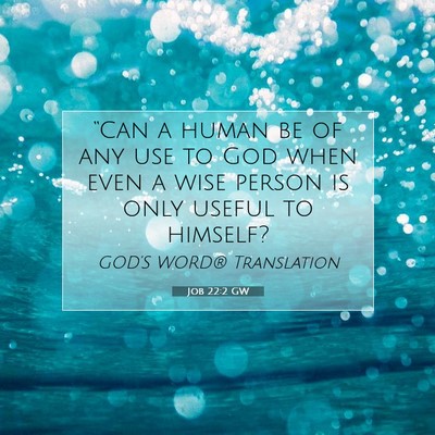 Picture 07 - Job 22:2 GW - “Can a human be of any use to God when even a - Bible Verse Picture
