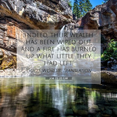 Picture 07 - Job 22:20 GW - ‘Indeed, their wealth has been wiped out, and a - Bible Verse Picture