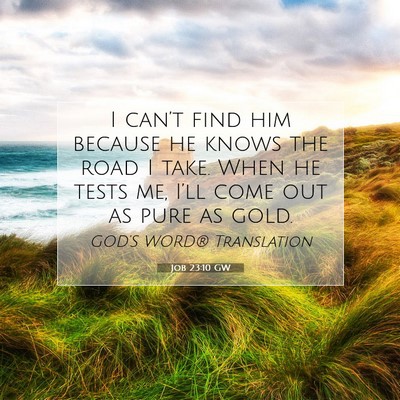 Picture 07 - Job 23:10 GW - I can’t find him because he knows the road I - Bible Verse Picture