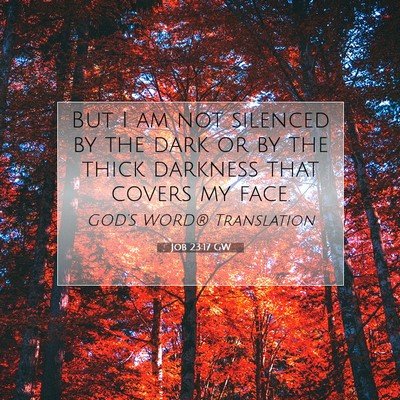 Picture 07 - Job 23:17 GW - But I am not silenced by the dark or by the thick - Bible Verse Picture