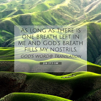 Picture 07 - Job 27:3 GW - ‘As long as there is one breath left in me and - Bible Verse Picture
