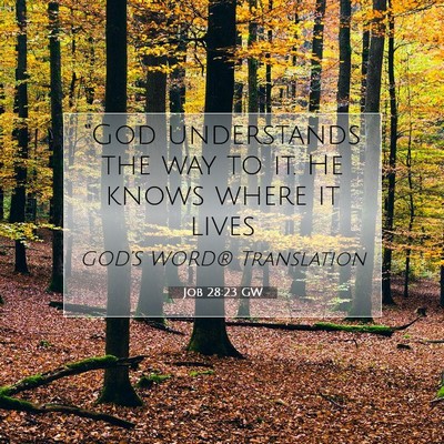 Picture 07 - Job 28:23 GW - “God understands the way to it. He knows where - Bible Verse Picture